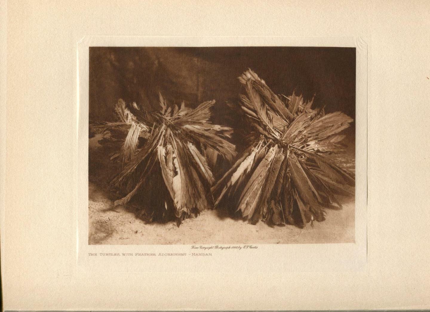 1908 Original Photogravure | Turtles, Feathers, Adornment Mandan | Curtis