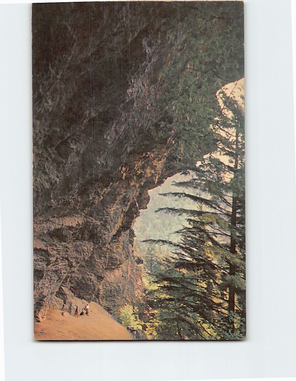 Postcard Alum Cave Bluffs Great Smoky Mountains National Park Tennessee USA