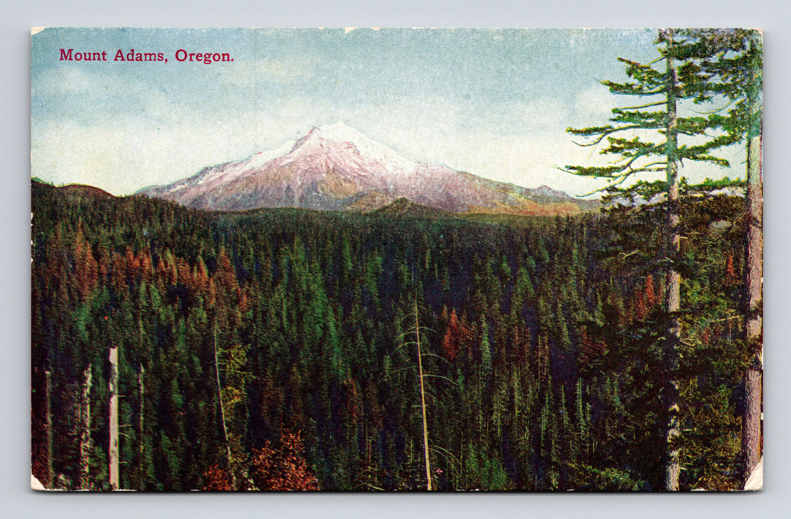 DB Postcard Mount Adams OR Oregon Scenic Panorama View