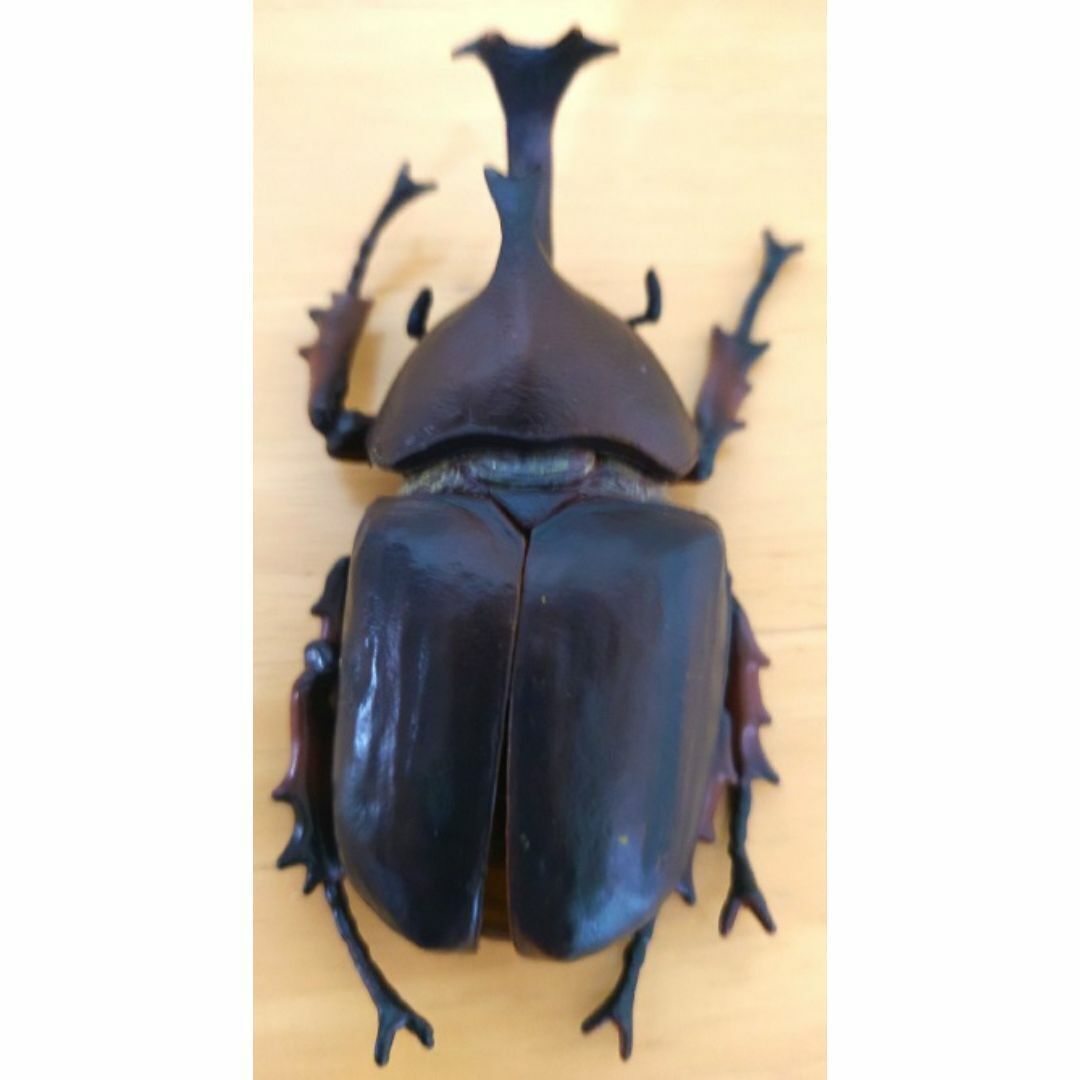 beetle insect figure moving flight system wings and legs moving