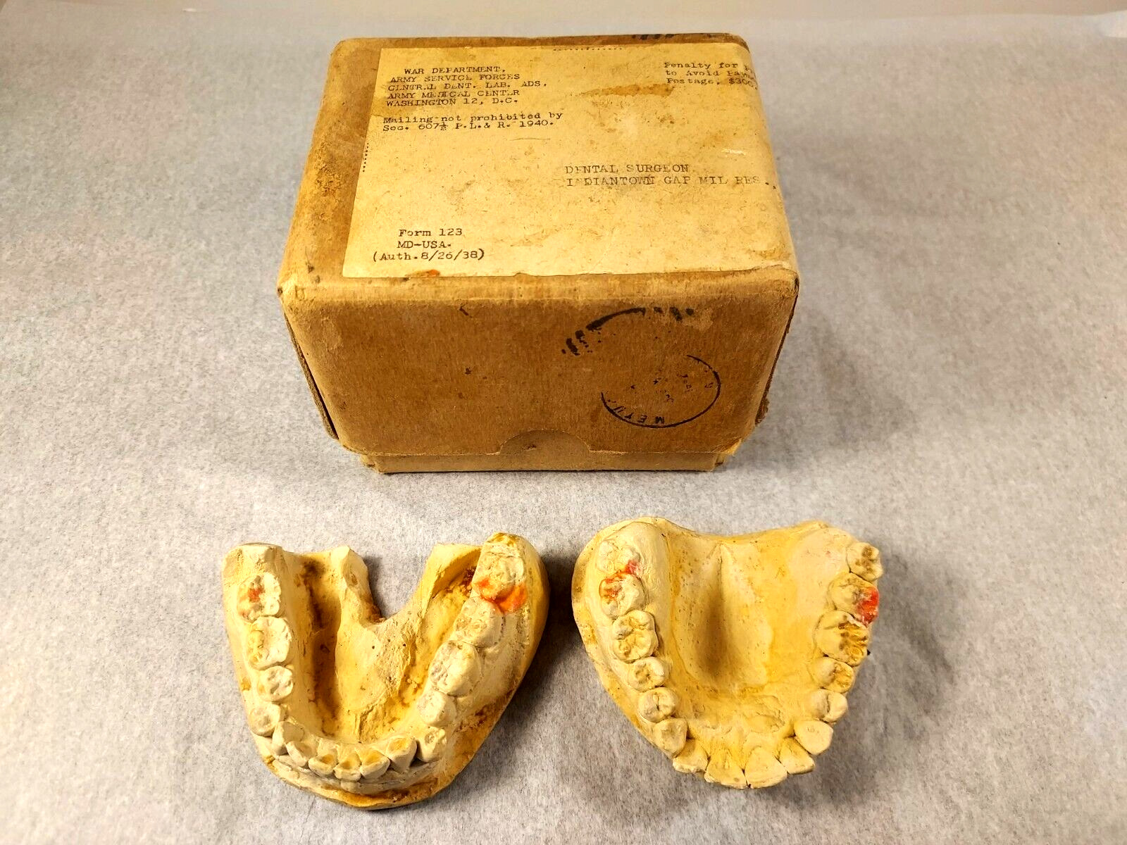 WW2 Army War Department 2pc Plaster Cast Dental Impressions in Original Box