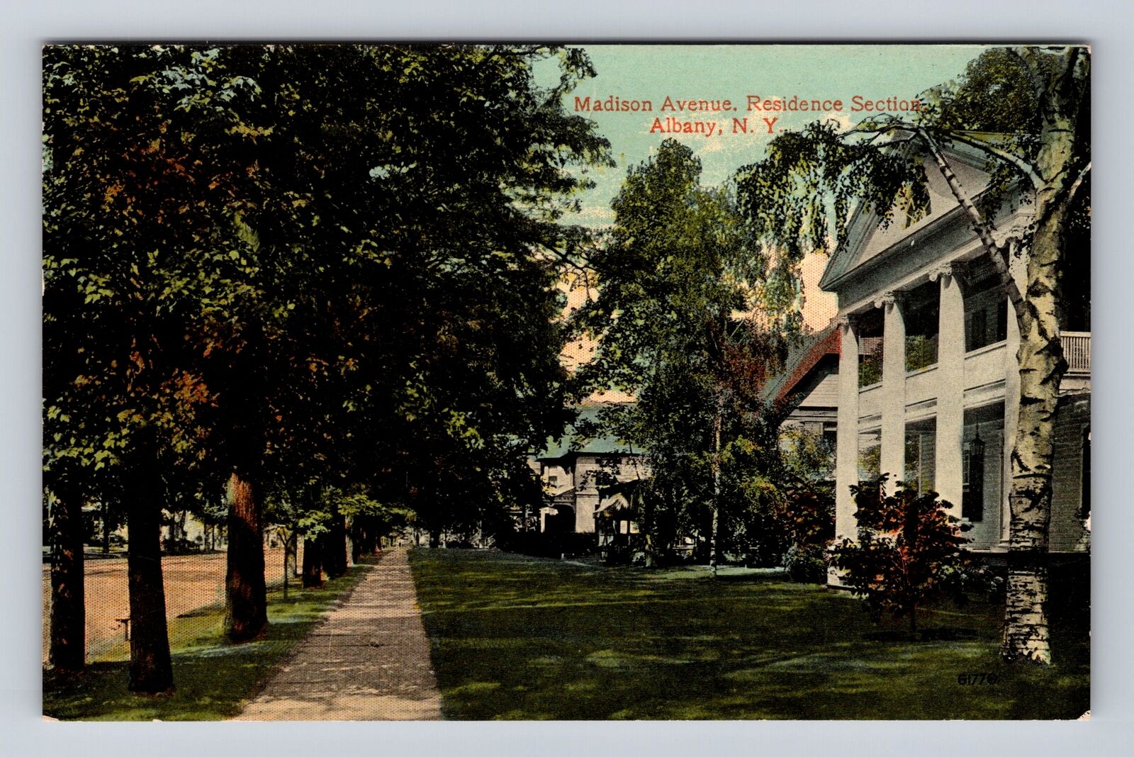 Albany NY- New York, Madison Avenue, Advertisement, Antique, Vintage Postcard