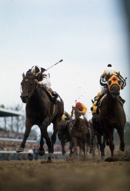 Foolish Pleasure 1975 Kentucky Derby Win 2 Old Horse Racing Photo