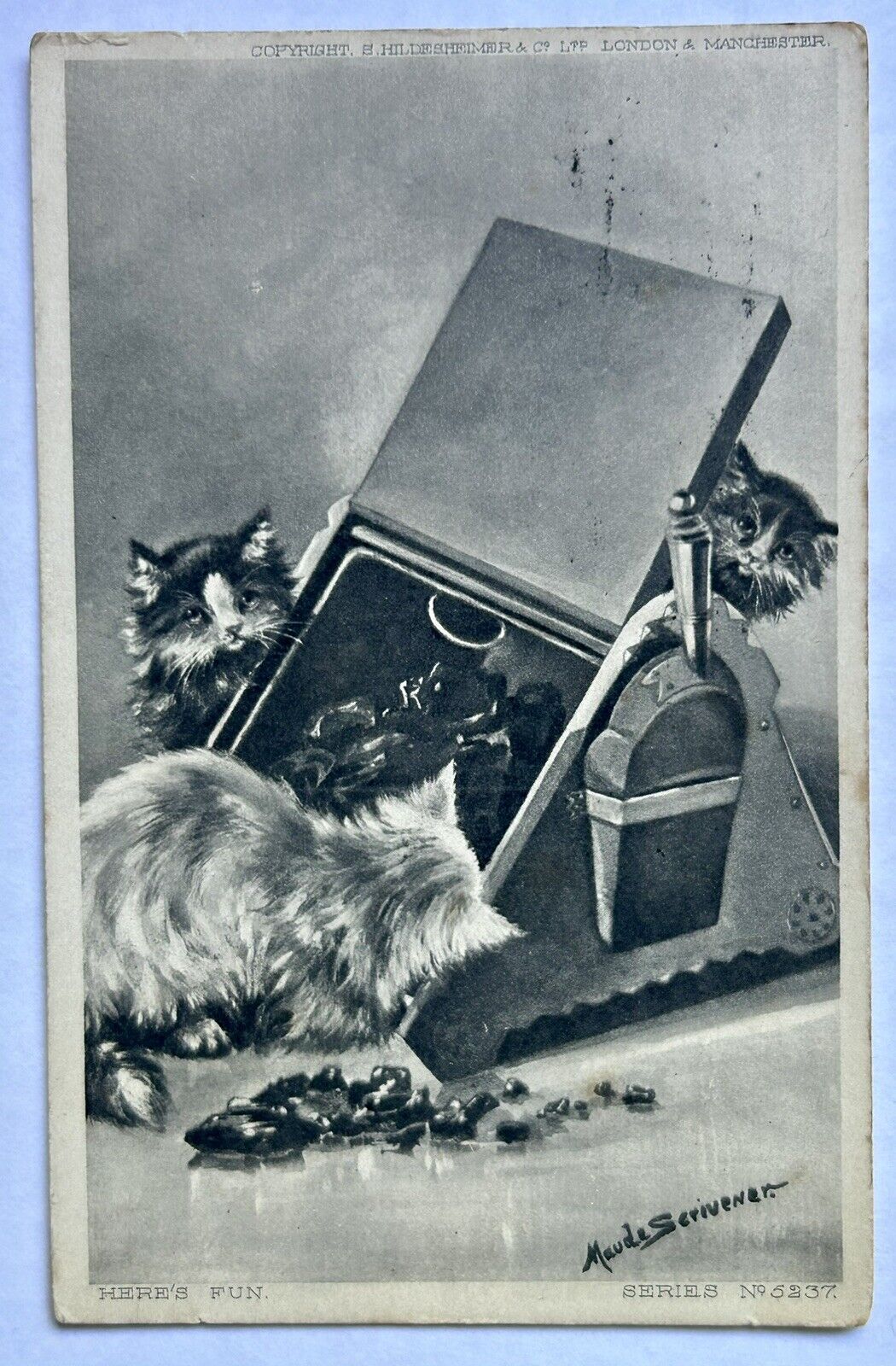 Cats Playing In A Coal Bin. 1906. Vintage Cat Postcard
