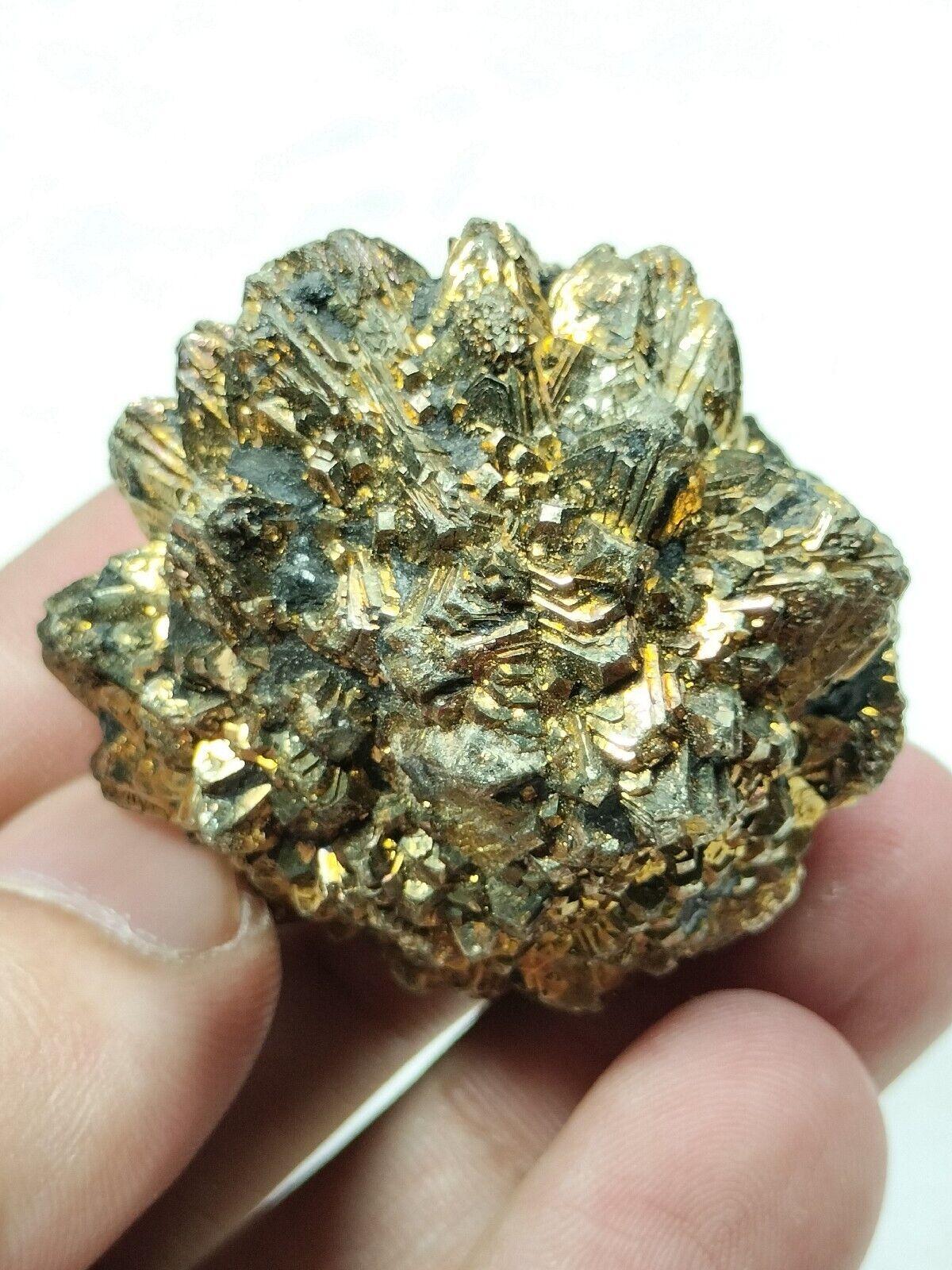 Golden pyrite star formation after Marcasite AKA white iron pyrite from Pak.