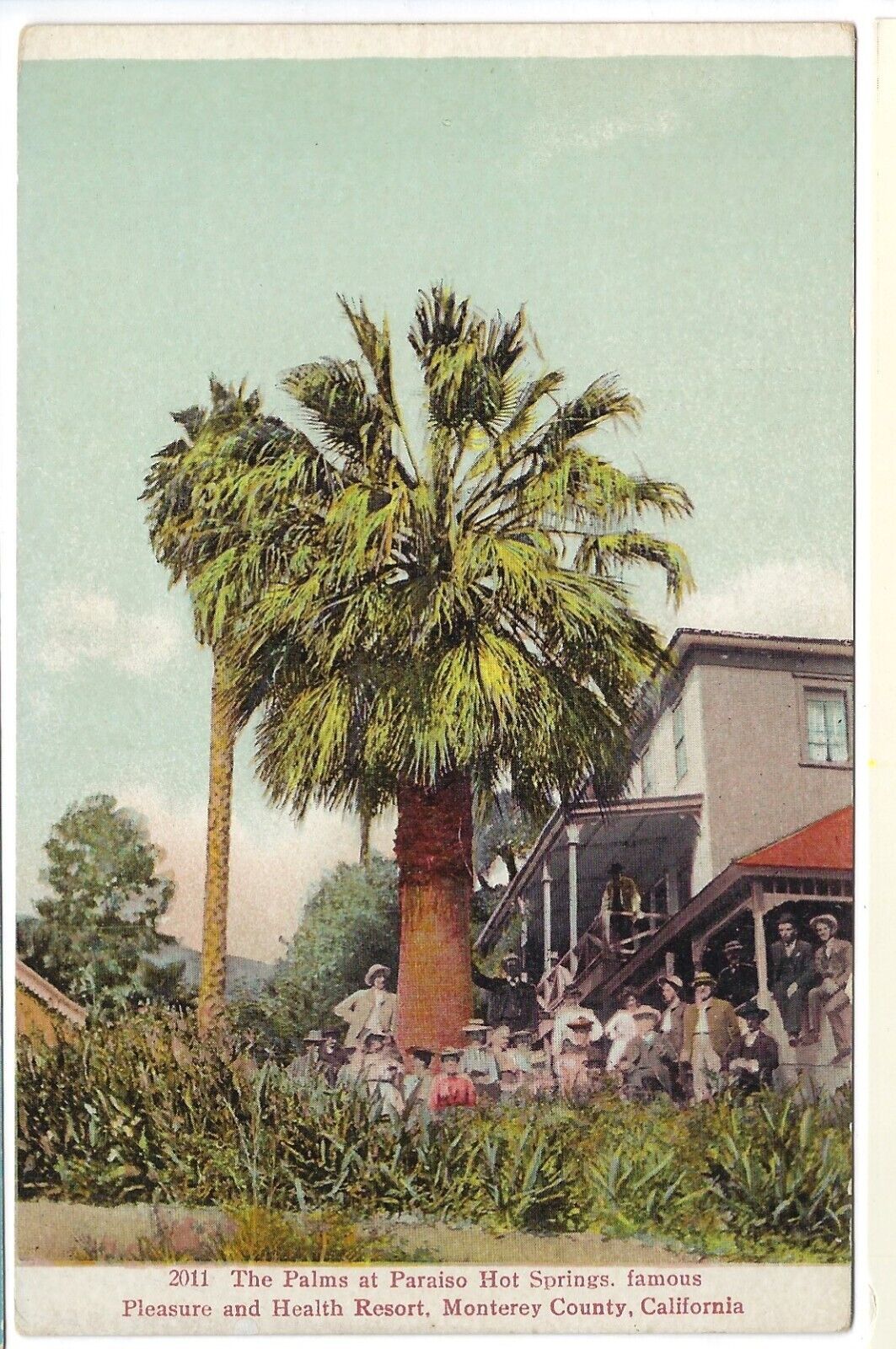 Monterey California c1910 Palms at Paraiso Hot Springs Health Resort Postcard