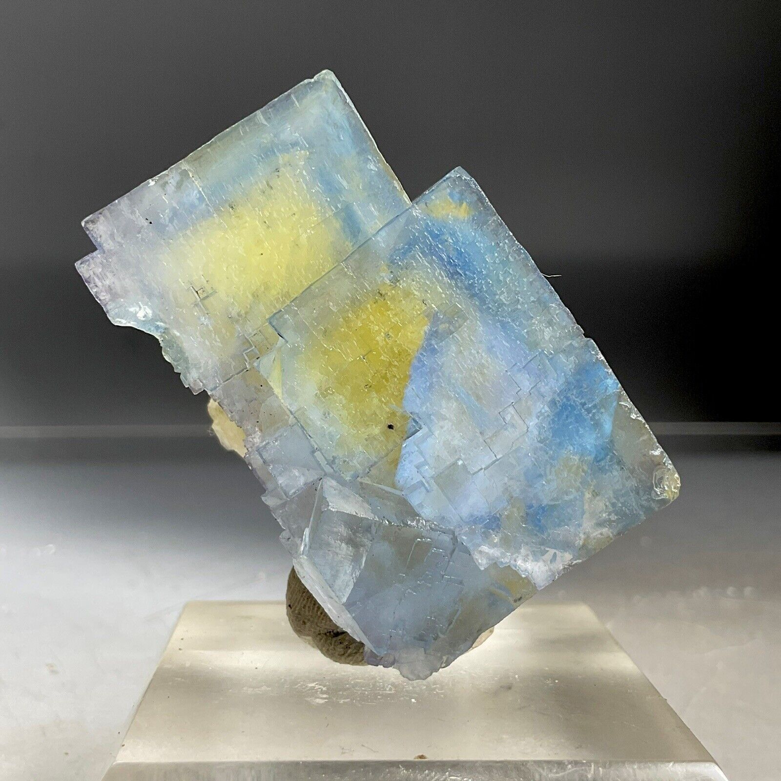 SS Rocks - Blue & Yellow Fluorite (Minerva #1 Mine, Hardin Co, Illinois) 80g