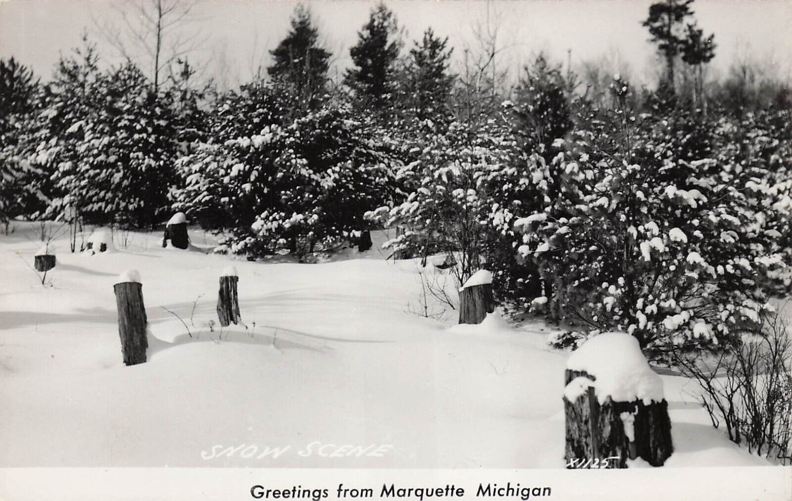 RPPC Marquette MI Michigan Snow Winter Ski Time Trees Scene UP Photo Postcard E5
