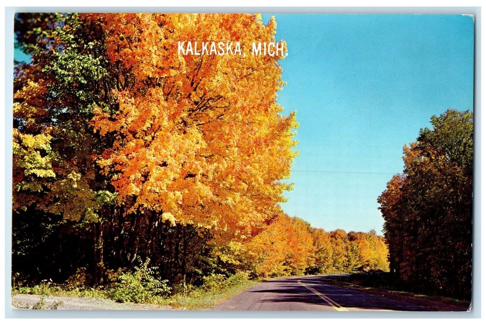 c1960s A Golden Bower Of Leaves Vacationland Scene Kalkaska MI Unposted Postcard