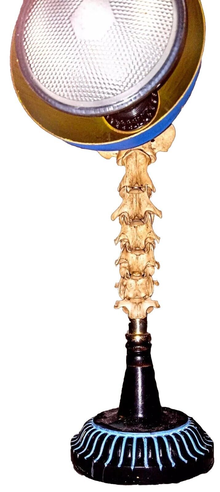 Spinal Lamp