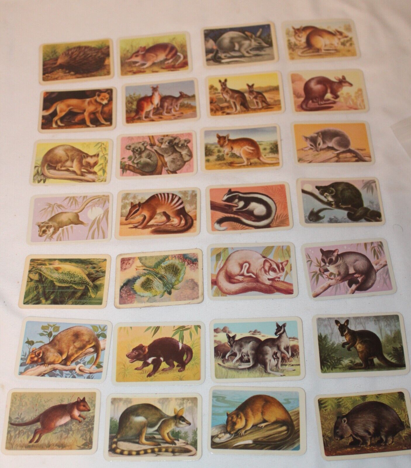 Tuckfield\'s Australiana Animals Series Cigarette/Tea Trading Cards 28 of 32