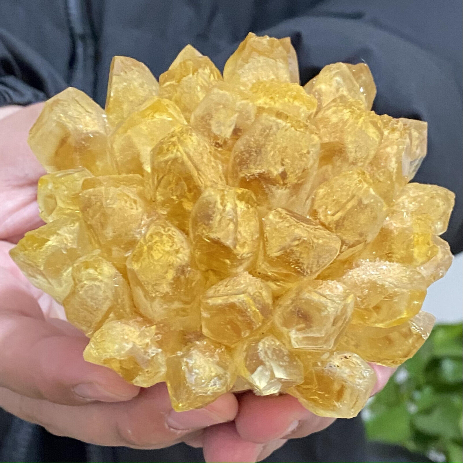 1.18LB yellow Phantom Quartz Citrine Crystal Cluster Mineral Specimen Healing