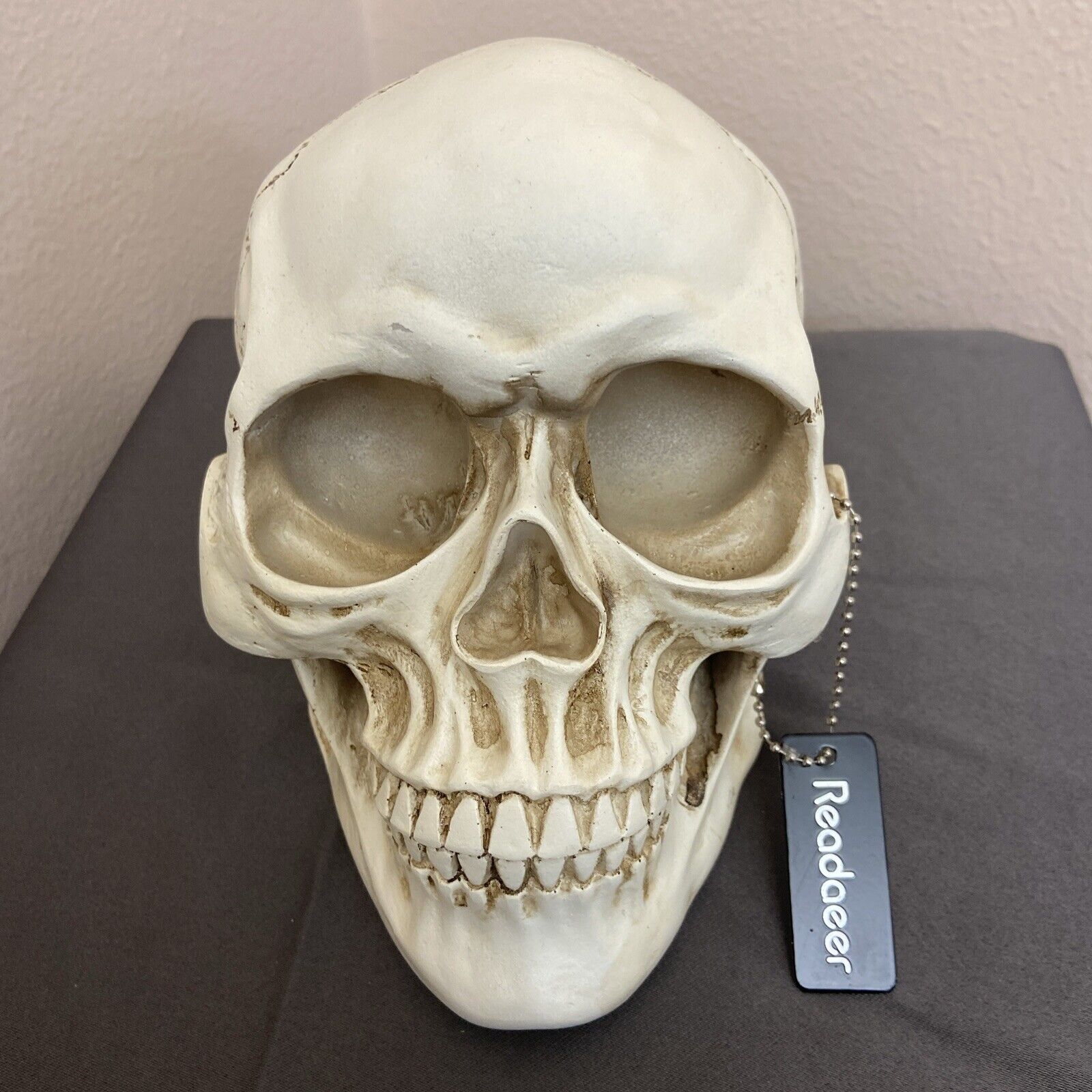 Readaeer 1:1 Human Skull Model With Tag
