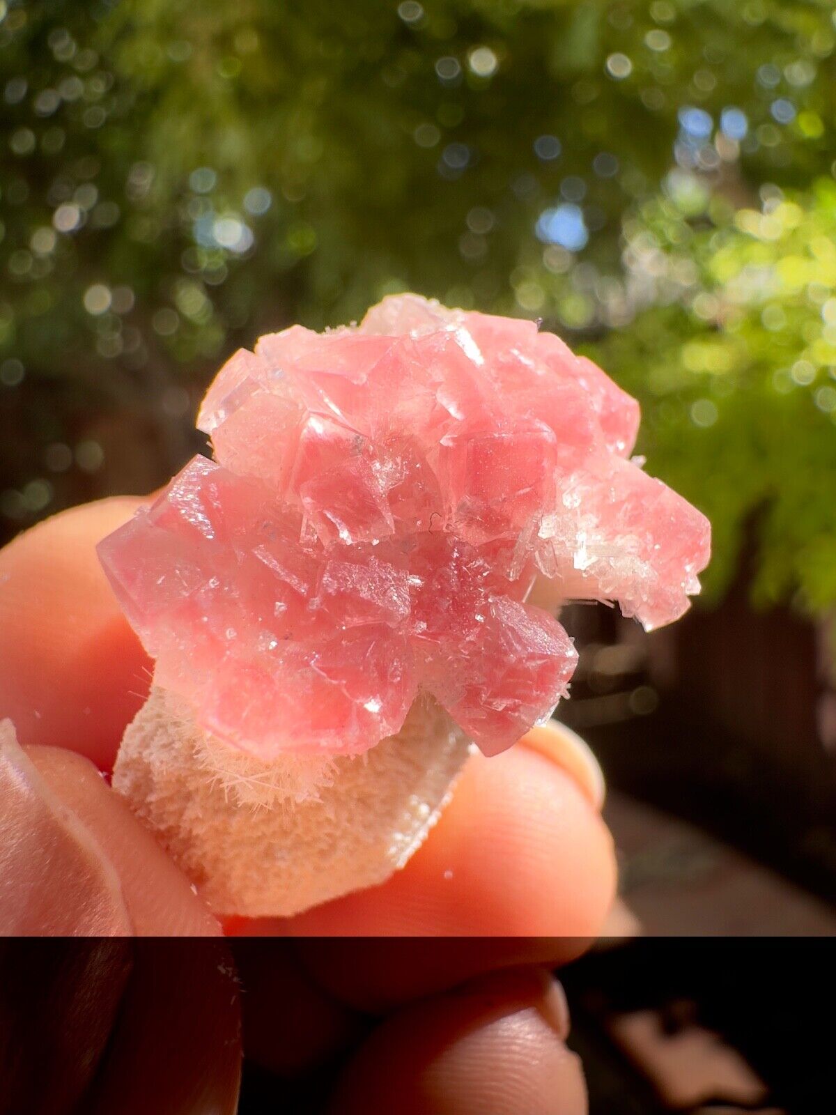 Pink Calcite with Mesolite, Moldy Raspberry Pocket, MP, INDIA  (CMRP00308)