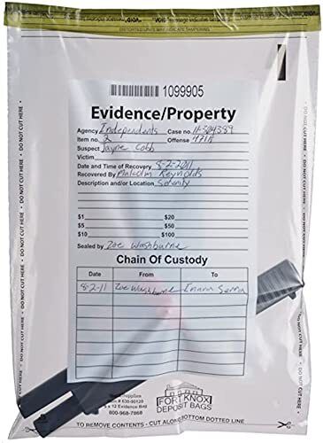BankSupplies Clear Evidence Bags | Case of 500 | 9W x 12H | Tamper Evident Seal