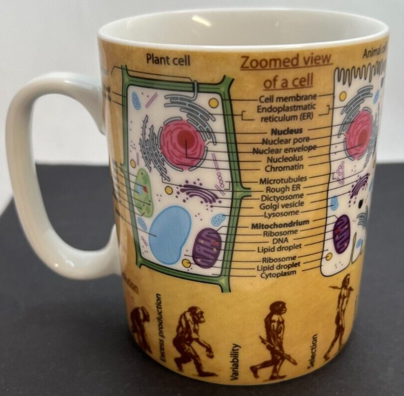New Konitz Science Biology Mug Cup Cell Evolution DNA Photosynthesis Gift 15oz