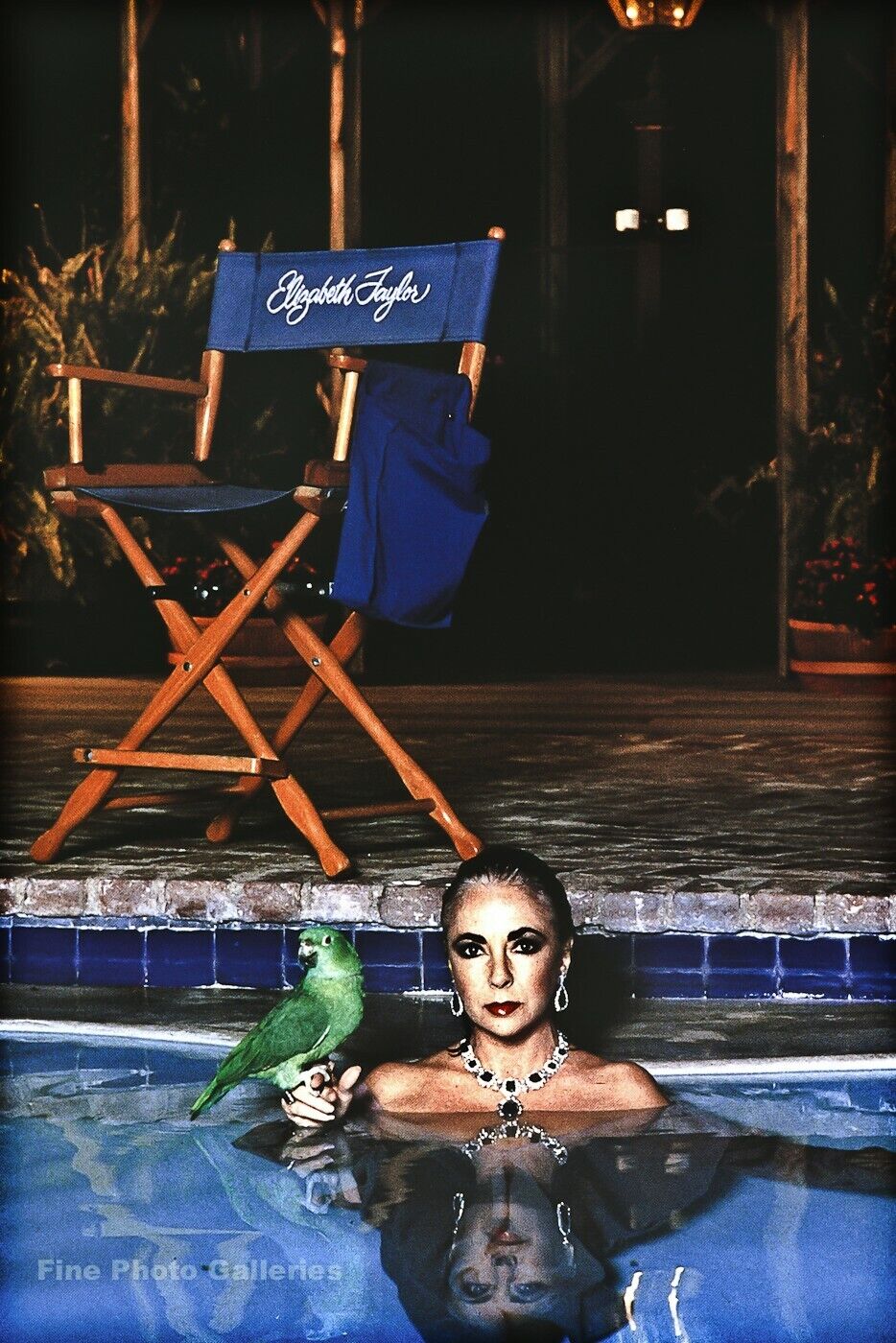 1985 Vintage LIZ TAYLOR Movie Actress HELMUT NEWTON Parrot Pool Photo Art 11X14