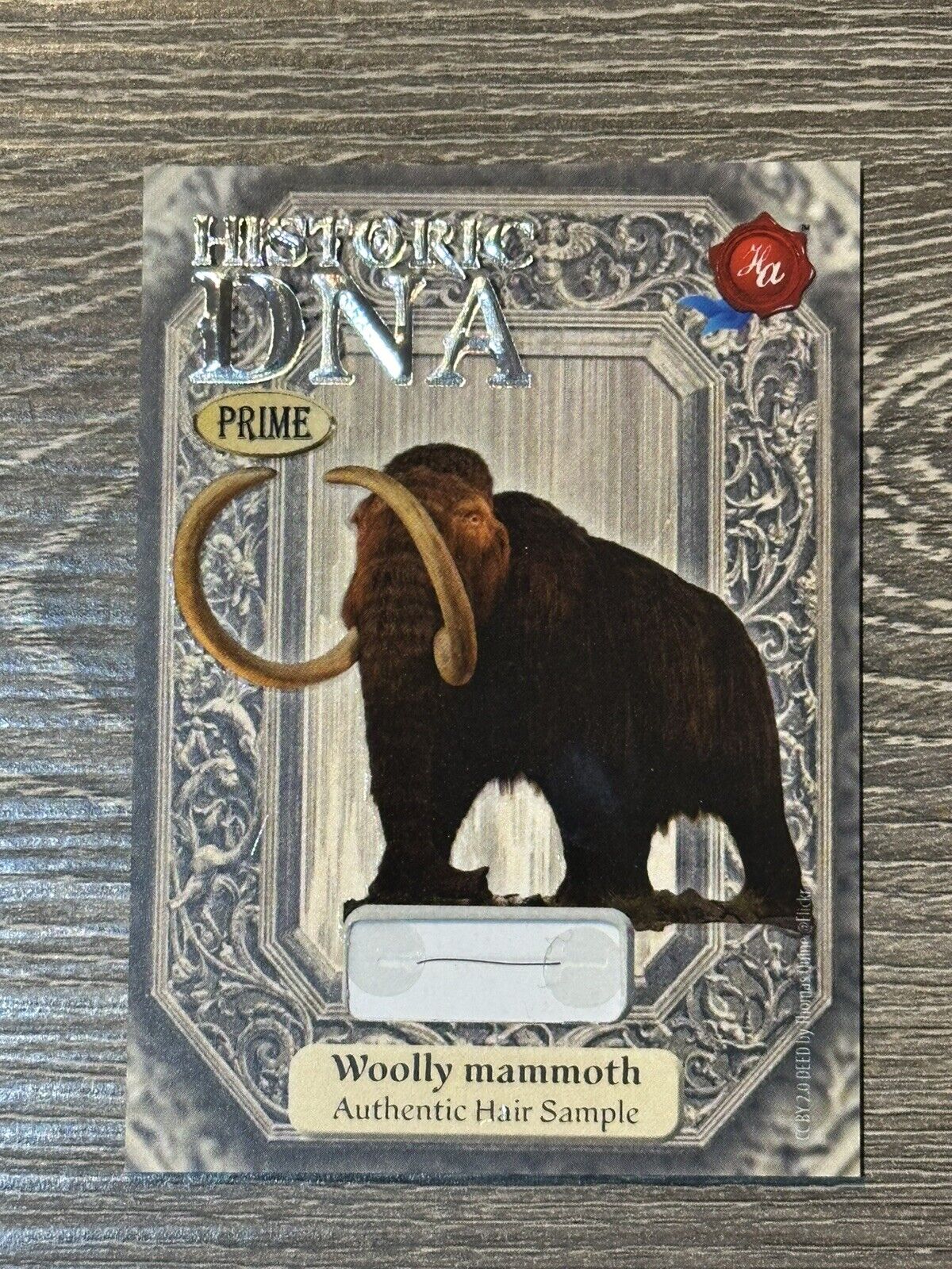 2024 HISTORIC AUTOGRAPHS PRIME WOOLY MAMMOTH HAIR FUR DNA RELIC 13/25 SO RARE