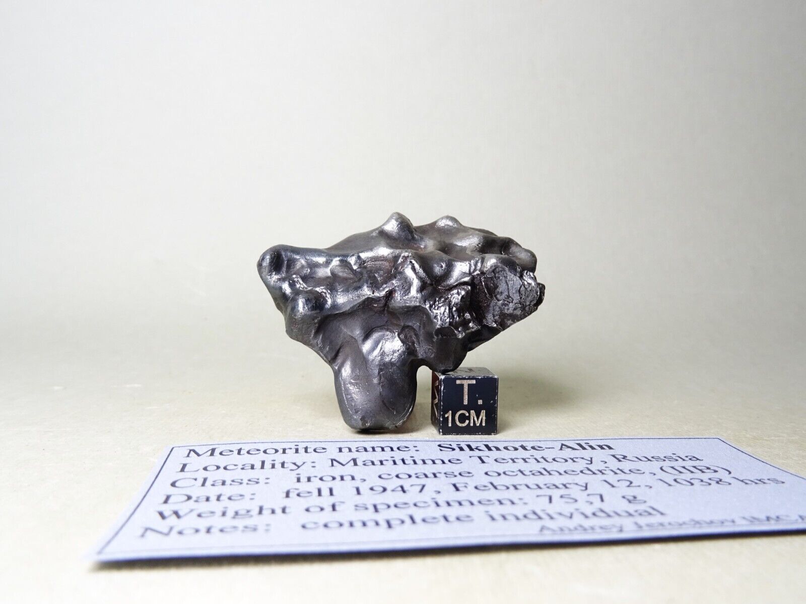 meteorite Sikhote-Alin, Russia, complete regmaglypted individual 75,7 g