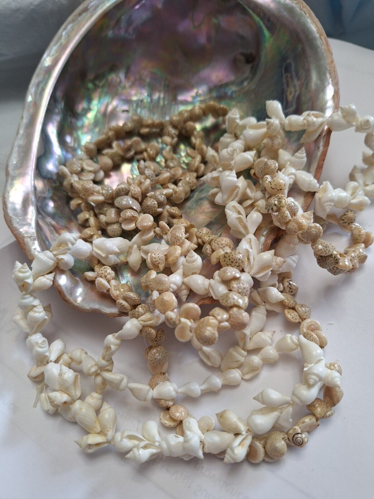 Beautiful 2 Lot Hawaiian Seashell Necklaces/Petites/Natural Colors/ # SSDBL