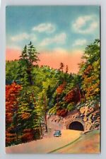 Great Smoky Mountains National Park TN-Tennessee, Newfound Gap, Vintage Postcard picture