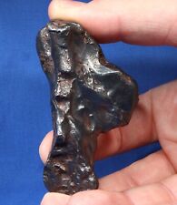 173.5 gram Sikhote-Alin Individual Meteorite - Iron, IIAB - Fell 1947 in Russia picture