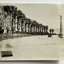 Vintage Snapshot Photograph Street View Historic 30s Car Palm Trees La Jolla CA picture