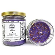 Power & Command Soy Spell Candle Influence Control Dominance Hoodoo Wiccan Pagan picture