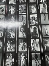 Vintage 1970s Various Nude Amateurs Contact Sheet picture
