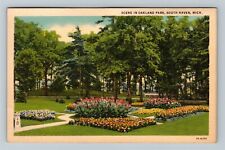 South Haven MI-Michigan, Scene In Oakland Park Vintage Postcard picture