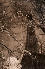 PARIS EIFFEL TOWER AUTHUM by GONZAGUE DREUX  1950s VINTAGE ORIG Photo 218 picture