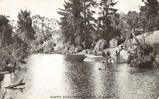 Albany NY New York, Happy Days Tea Gardens, Vintage Postcard picture