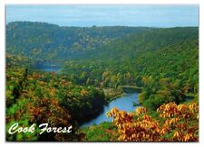 Vintage 1990s - Seneca Point - Cook Forest, Pennsylvania Postcard (UnPosted) picture