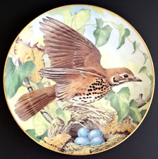 Eastern Song Thrush by Basil Ede Fine Porcelain Collector Plate 1984 Japan picture