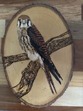 Red Tail Hawk Woodcarving American Kestrel Wood Burning Art Signed Majestic Bird picture