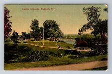 Endicott NY-New York, Casino Grounds, Antique, Vintage Postcard picture