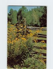 Postcard Goldenrod and Rustic Rail Fence USA North America picture
