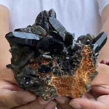 1.79LB  Natural Beautiful Black Quartz Crystal Cluster Mineral Specimen picture