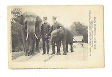 Postcards Vin(1)NY Zoological Pk #1979D African Baby Elephant/Indian Elephant570 picture
