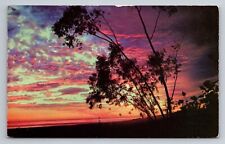 Sunset View Vintage Posted 1954 Orfordville Wisconsin Postcard picture