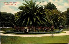 c1920 View in Eden Square Park Garden Stockton California CA Vintage Postcard picture