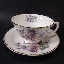 Vtg September Royal Grafton England China Teacup & Saucer Purple Aster Floral picture