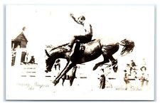 Postcard Calgary Stampede Canada Cowboy Horse RPPC A19 picture