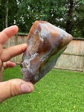 Texas Petrified Palm Wood 5x3x2 Translucent Cabochon Jewelry Grade Gem Material picture