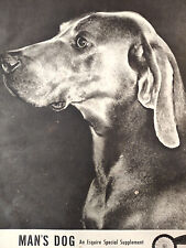 1949 Original Esquire Art Supplement MAN's DOG Mens Popular Dogs Special picture