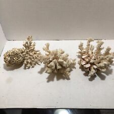 Lot 3 Vintage Coral Pieces. picture