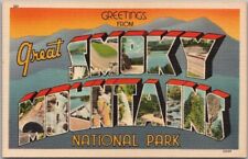 Vintage GREAT SMOKY MOUNTAINS NATIONAL PARK Large Letter Postcard /Tichnor Linen picture