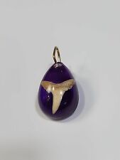 Shark Tooth Pendant Suspended in Purple Acrylic picture