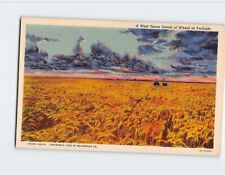Postcard A West Texas Ocean of Wheat at Twilight USA picture