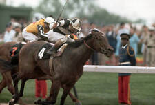 Foolish Pleasure 1975 Kentucky Derby Win 1 Old Horse Racing Photo picture